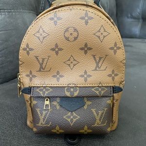 Louis Vuitton palm spring mini